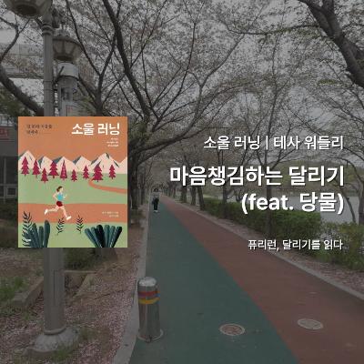 테사 워들리 『소울 러닝』 - 마음챙김하는 달리기 (feat. 당물) 그리고 안산 화랑유원지 러닝