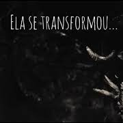 Os Diários Esquecidos - Histórias de Terror