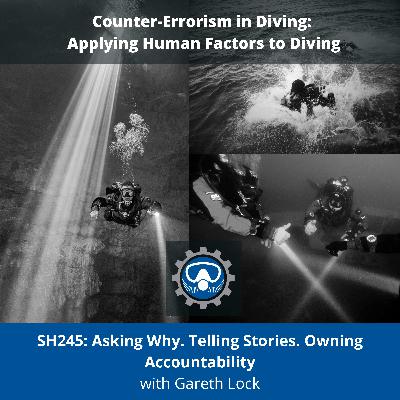 SH245: Asking Why. Telling Stories. Owning Accountability