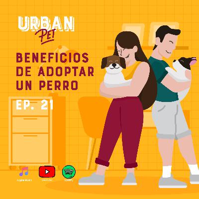 Ep. 21 - Beneficios de adoptar un perro