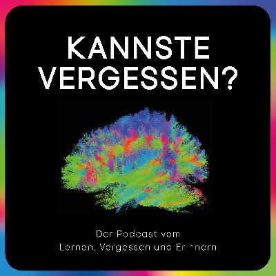 Ein Atlas für das Gehirn
