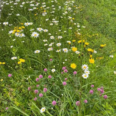 五月って、そういえば気持ちが不安定になりやすい！？　五月病対策　お伝えします😊