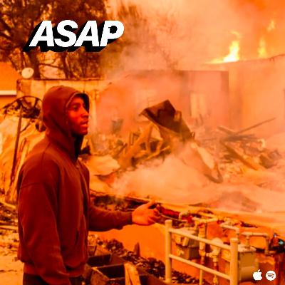 Los Angeles Wildfires