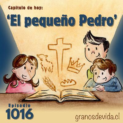 #1016 El pequeño Pedro