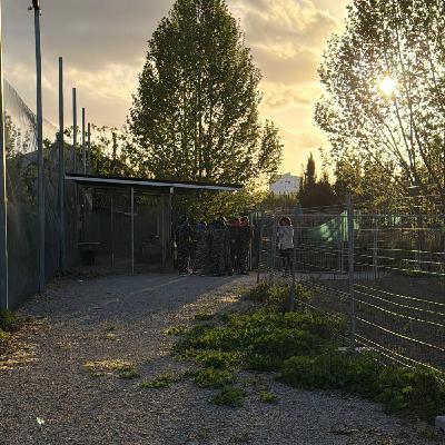 37. Un padre en un paintball 37. Un padre en un paintball