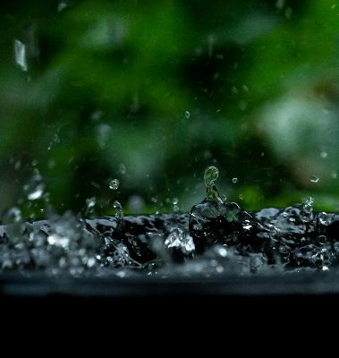 Light Rain: 8-Hour Serenade for Relaxation and Tranquility