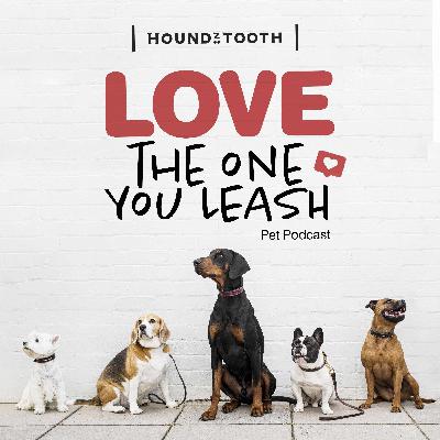 Ditch The Itch" // Dr. Katrina Warren's Top Tips For Dogs With Itchy Skin Ditch The Itch" // Dr. Katrina Warren's Top Tips For Dogs With Itchy Skin