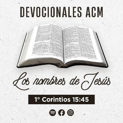 Los nombres de Jesús | 1° Corintios 15:45 Los nombres de Jesús | 1° Corintios 15:45