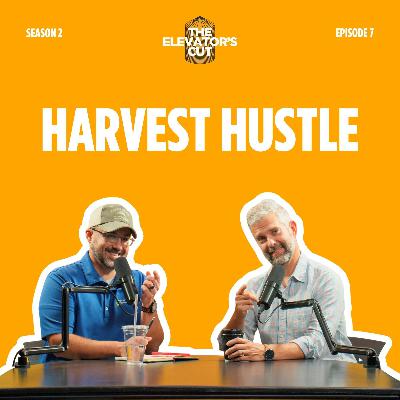 Your Harvest Time Companion - Navigating Big Yields and Low Prices Your Harvest Time Companion - Navigating Big Yields and Low Prices