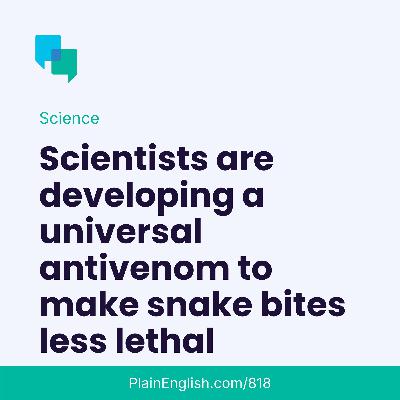 The quest to make snake bites less lethal