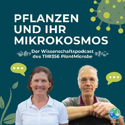#1 Was ist der TRR356 PlantMicrobe? - Mit Prof. Dr. Martin Parniske
