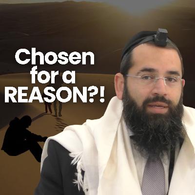 Why Was Avraham Chosen?