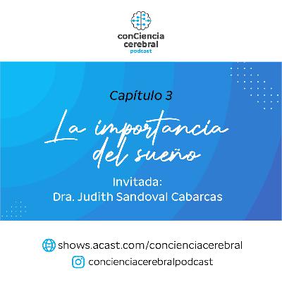 La importancia del sueño - Primera parte