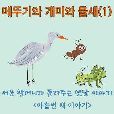 메뚜기와 개미와 물새(1) 메뚜기와 개미와 물새(1)