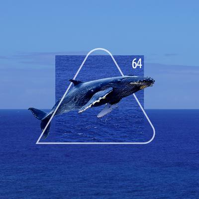 EP064 島嶼、流動、海洋,專訪Cinema at Sea沖繩環太平洋國際電影節 策展人翁煌德 EP064 島嶼、流動、海洋,專訪Cinema at Sea沖繩環太平洋國際電影節 策展人翁煌德