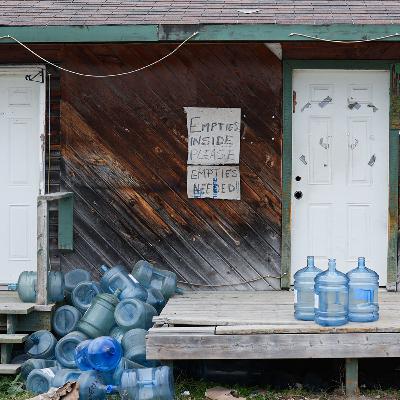 Something in the Water