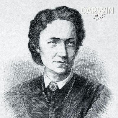 Die Münchner Masche