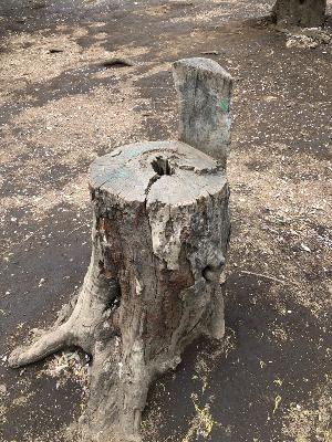 相談#4「YouTubeやスマホなどと子どもの付き合い方、視聴時間など気をつけることはありますか？」 from Radiotalk