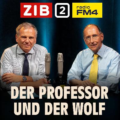 Der Professor und der Wolf: Jahresrückblick 2025