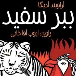 ببر سفید