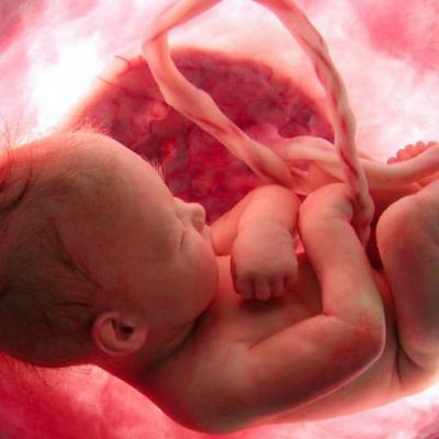 Episode 17: Throwaway culture, economic liberalism, and new strategies for the pro-life movement Episode 17: Throwaway culture, economic liberalism, and new strategies for the pro-life movement