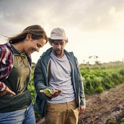 La Agricultura en estos días