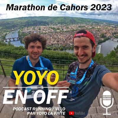 Bilan de mon premier marathon (Marathon des Vignobles de Cahors 2023) et mon parcours sportif jusqu'à cette course
