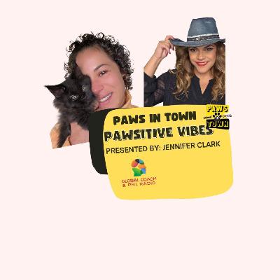 Hablemos de gatos y su comportamiento | Yeni Vizcaíno