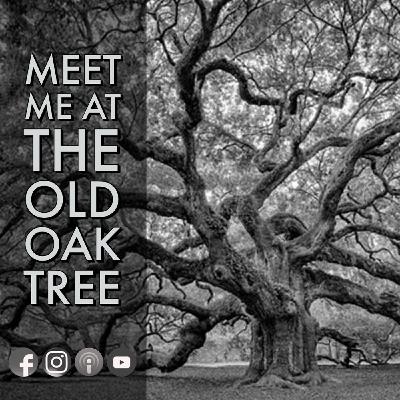 Meet Me At The Old Oak Tree