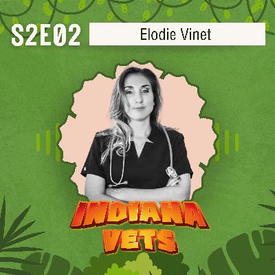 S02E02/ Interview d'Elodie Vinet, comment adapter son travail à sa vie ⚖
