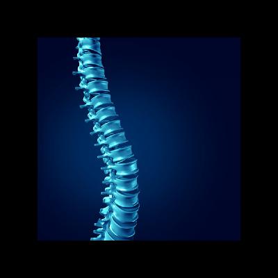 【インパクトのある論文の共通点：硬膜外電気刺激（EES）最新研究】 Revolutionizing Spinal Cord Injury Treatment: The Impact of Advanced Epidural Electrical Stimulation Programs