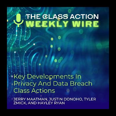 Episode 134: Key Developments In Privacy & Data Breach Class Actions