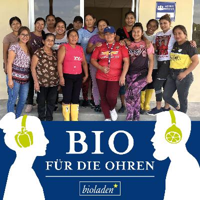 Diese Banane FAIRändert die Welt: in Ecuador (2/3)