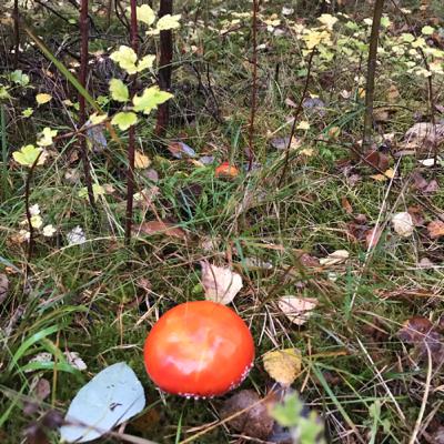 Mida õpetavad meile noored?