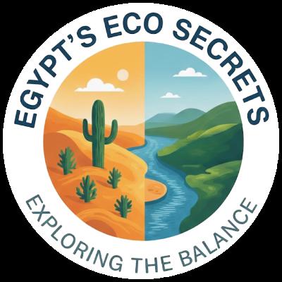 Basic Concepts : مفاهيم أساسية