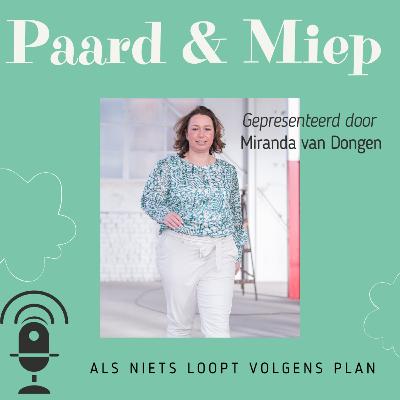 Als niets loopt volgens plan.