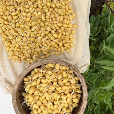 道友问道长答系列 一