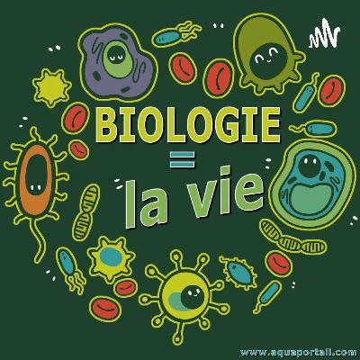 Les réflexes modulaires