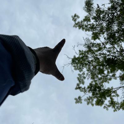A short late night talk: About changes and trash talk about mucking out