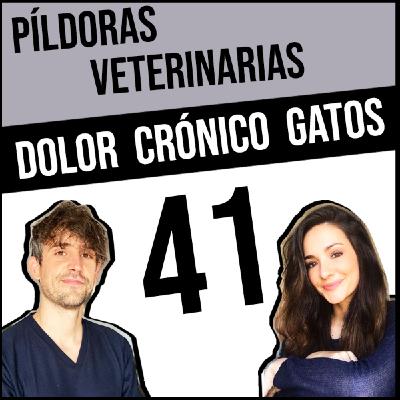 41. Dolor crónico en gatos