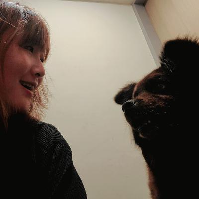 填充娃娃讓狗狗太興奮又好緊張，我該不該給狗狗呢？