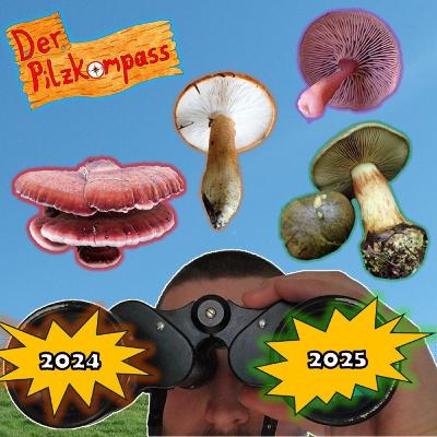 37 Bestes Pilzjahr ever?! Jahresrückblick 2024