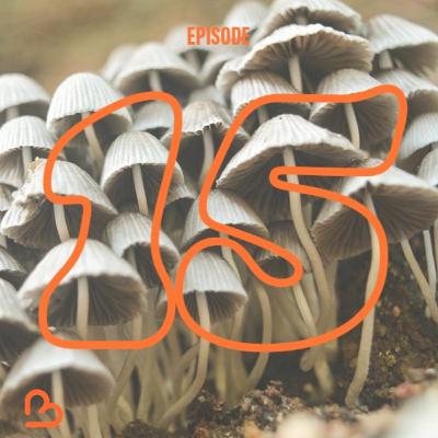 Episode 15 : Week-end champêtre