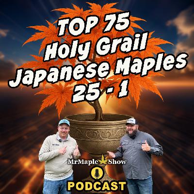 Top 75 Holy Grail Japanese Maples 25 - 1 | MrMaple Show Podcast