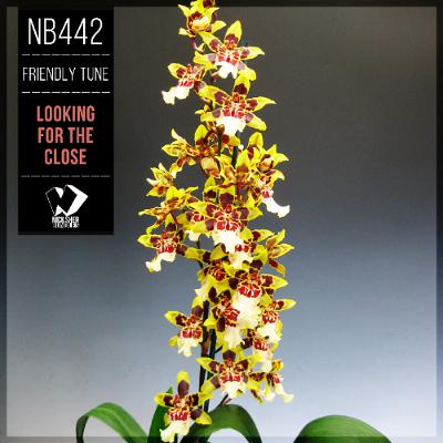 Friendly Tune - Some Time (Original Mix)