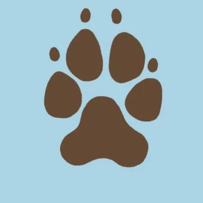 Paw cast