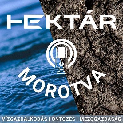 VÍZ(ió) nélkül a magyar mezőgazdaság? Egyre nehezebb termelni az Alföldön - De mi lehet a megoldás? VÍZ(ió) nélkül a magyar mezőgazdaság? Egyre nehezebb termelni az Alföldön - De mi lehet a megoldás?