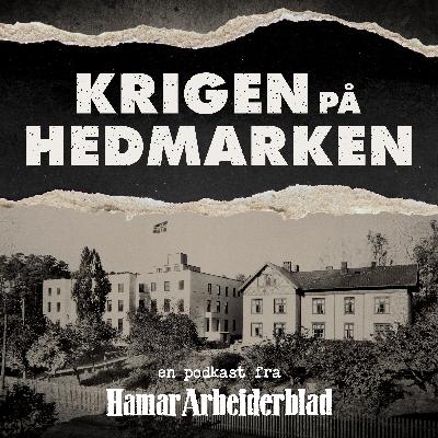 Det vågale kuppet på Hamar sykehus