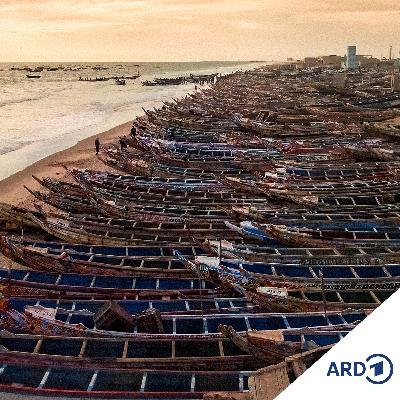 Adieu (4/12) Adieu (4/12)