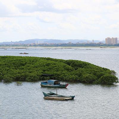 How wetlands are shaping China’s path to resilience?
